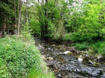 Tocht Te voet Bestwig - Ostwig Rundweg O4 - Photo