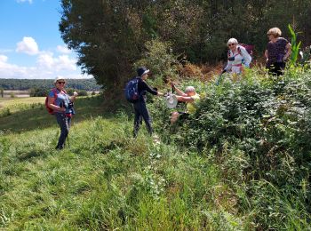 Excursión Senderismo Puydarrieux - puydarrieux G4fait 2022 - Photo