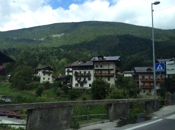 Tocht Te voet Sauris - IT-209 - Photo