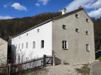 Excursión A pie Dietfurt an der Altmühl - Dietfurter Wasserwege (Zurück zur Quelle) - Photo