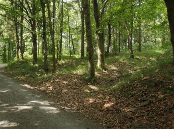 Excursión A pie Geroldsgrüner Forst - Säuerlingsweg DÖ 97 - Photo