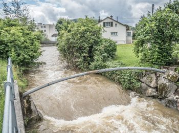 Tour Zu Fuß Seon - Gränichen - Breitenberg - Photo