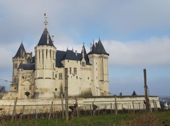 Tocht Stappen Saumur - Saumur  - Photo