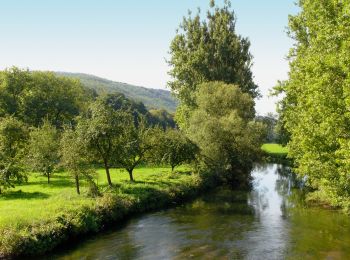 Tocht Te voet Emmerthal - ET4 Rundwanderweg Emmerthal - Schloss Hämelschenburg - Photo