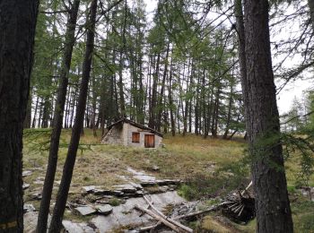 Excursión Senderismo Uvernet-Fours - Cabane de la petite Saume. 27/09/20 - Photo