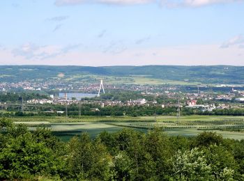 Randonnée A pied Bassenheim - Rheinburgenweg Zugangsweg Mülheim-Kärlich - Photo