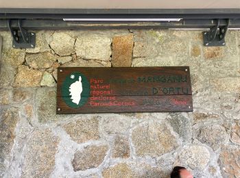 Tour Wandern Albertacce - Castel du Vergio refuge de Mangani - Photo