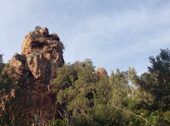 Excursión Senderismo Le Muy - Le vallon du Leyron - Photo