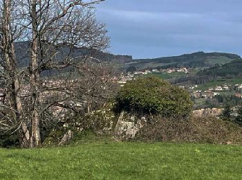 Tour Wandern La Gresle - La Gresle : d'une colline à l'autre - Photo