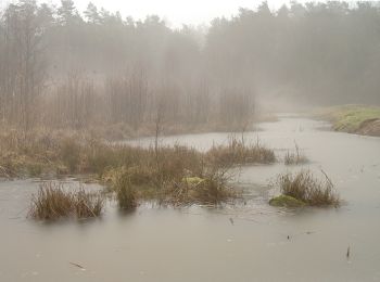 Tour Zu Fuß  - Roter Schmetterling, Rundwanderweg Aschaffenburg- Schweinheim ehem. StOÜp - Photo