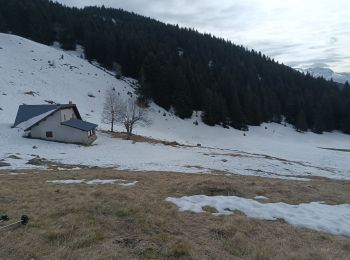 Randonnée Marche Crêts-en-Belledonne - cret luisart - Photo