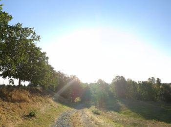 Tour Zu Fuß Reggio Emilia - Vasca Corbelli - Puianello - Montebello - Monte della Sella - Photo