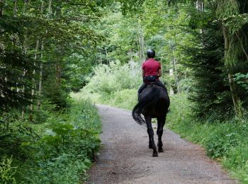 Randonnée Randonnée équestre Gesves - FAULX-LES TOMBES - CIRCUIT H - CAVALIER - BALISÉ - Photo