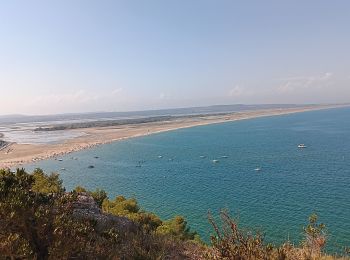 Tour Wandern Leucate - la franqui . phare de leucate .. retour via la falaise - Photo