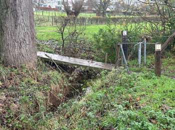 Excursión Senderismo Kluisbergen - Hotonberg 9,9 km - Photo