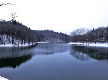 Excursión A pie Wipperfürth - Rundwanderweg A3 (Egen - Bevertalsperre) - Photo