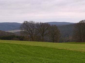 Excursión A pie Bad König - Rundwanderweg S1 : Fürstengrund-Runde - Photo