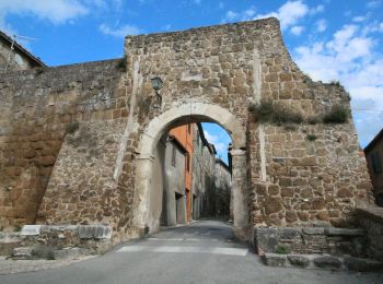 Tour Zu Fuß Otricoli - Ocriculum - Poggio - Photo