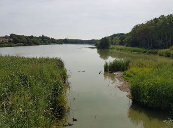 Randonnée Marche Le Perray-en-Yvelines - Le Perray en Yvelines à Cernay la Ville - Photo