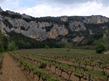 Tocht Stappen Vallon-Pont-d'Arc - grotte louoi et derocd - Photo