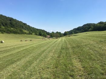 Randonnée Marche Hostun - Les Marchands au départ de St Martin d’Hostin - Photo