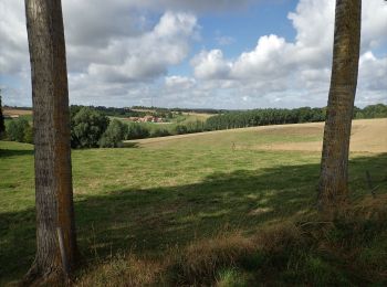 Tocht Stappen Itter - #200828 - Ittre et golf de la Tournette - Photo