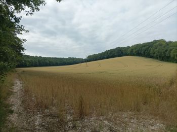 Excursión Senderismo Prugny - Randonnée club Joie de Vivre - Photo