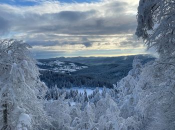 Tocht Ski randonnée Soultzeren - Lac vert + forlet ac François et Paul  - Photo