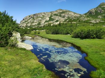 Tocht Stappen Tavera - Pozzines de Pozzolo - Photo