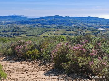 Tocht Stappen Le Castellet - vers le fou de Ceyrestes - Photo