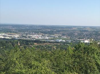 Tour Wandern Curis-au-Mont-d'Or - St Didier au Mont d'Ir - Photo