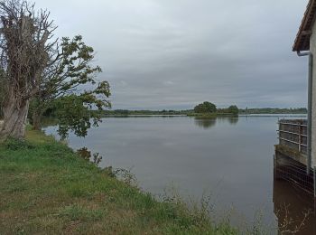 Randonnée Marche Saint-Michel-en-Brenne - étang du couvent  - Photo