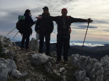 Randonnée Marche Caille - Crête de Bauroux  - Photo