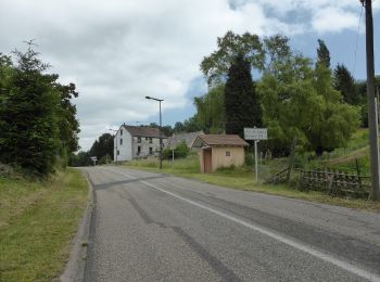 Randonnée A pied Zittersheim - Anneau jaune - Photo