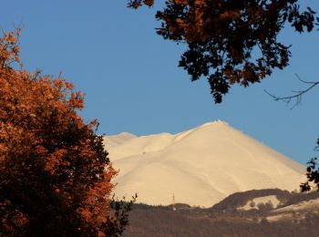 Tour Zu Fuß Rieti - Lugnano - I Tre Faggi - Photo