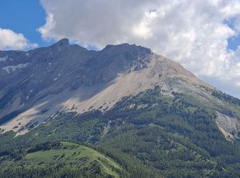 Tocht Stappen La Roche-des-Arnauds - Pic Chauve - Photo