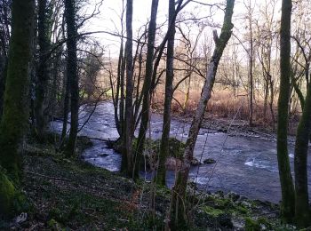 Randonnée Marche Sentheim - Knapphutte Saegenkopf Hütte - Photo