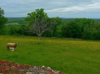 Trail On foot Lugagnac - Lugagnac - Photo