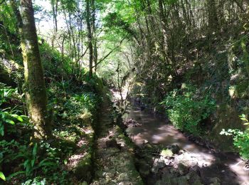 Excursión Senderismo Saint-Benoît - St Benoît - Photo