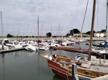 Randonnée V.T.T. Ars-en-Ré - 17-VTT-Ars-marais-porte-clement-baleines-31km - Photo