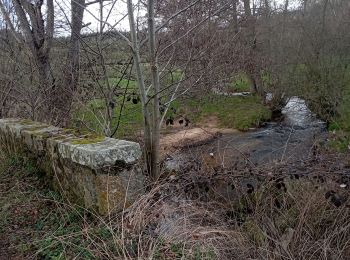 Tocht Stappen Les Salles - Domaine de la Plagnette  - Photo