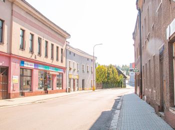 Tour Zu Fuß Rothkosteletz - [Ž] Červený Kostelec - Nad Chlívci - Photo