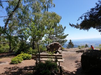 Tour Wandern Wanzel - Les Hauts de La Vancelle - Photo