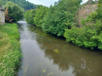 Randonnée Marche La Vôge-les-Bains - bains les bains mp 2023 - Photo