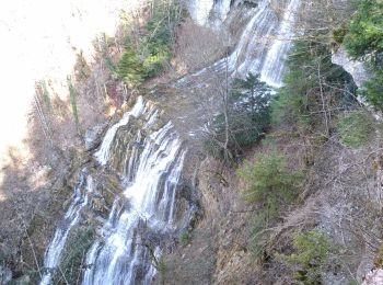 Randonnée Marche La Chaux-du-Dombief - Hérisson 28-2-21 - Photo