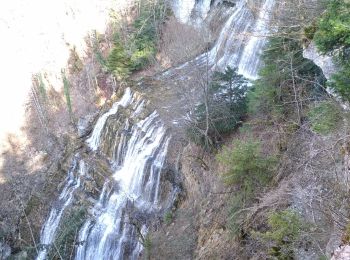 Trail Walking La Chaux-du-Dombief - Hérisson 28-2-21 - Photo