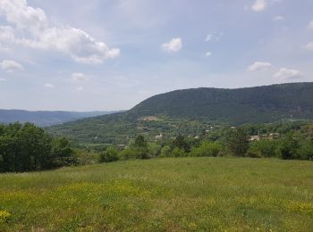 Excursión Marcha nórdica Saint-Étienne-de-Gourgas - Aubaïgues - Mas Caisso - Roc de l'Eglise - Photo