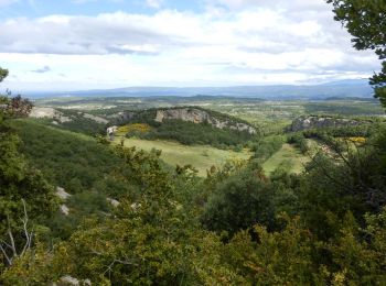 Tocht Stappen Buoux - Buoux-Grand Luberon 17km - Photo