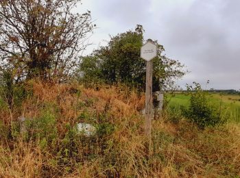 Trail Walking Cerfontaine - Senzeilles- Promenade de Beau Château  - Photo