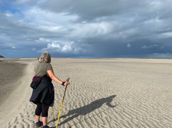 Randonnée Marche nordique Lanchères - Digue de la gaité, le Hourdel, étang de Cayeux  - Photo